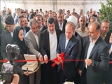 چهارمین جشنواره سیب دماوند با حضور وزیر جهاد کشاورزی افتتاح شد