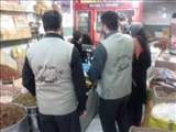 انجام بیش از ۵۰۰ بازرسی در طرح نوروزی از اصناف دماوند