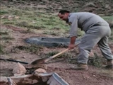 آغاز عملیات ساخت، بازسازی و لایروبی آبشخورها در حیات وحش دماوند