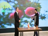 55 درصد از تخریب های استان تهران مربوط به دماوند است