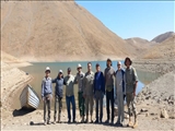 مشارکت گروه‌های مردمی دماوند در کاشت درختان جنگلی دریاچه تار